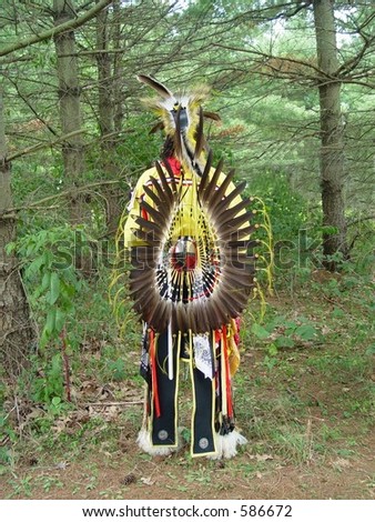 Back of Native American regalia.  Note eagle feathers and tortoise shell