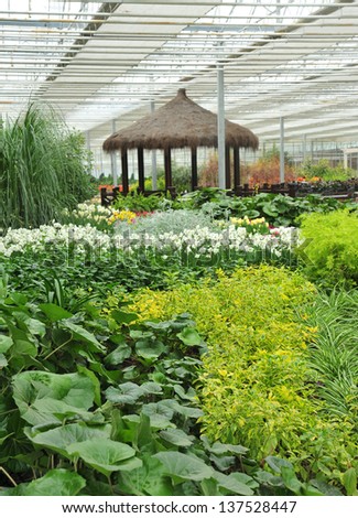 Indoor greenhouse garden