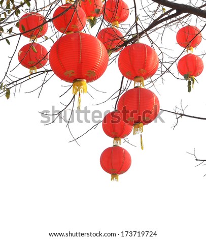 chinese lanterns hanging on tree branches isolated on white