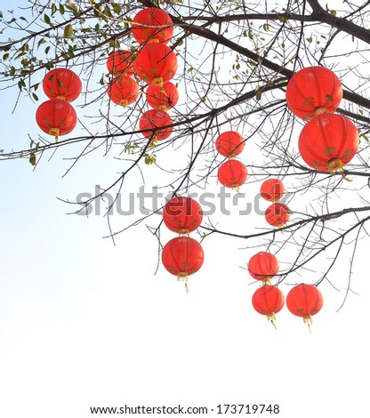 chinese lanterns hanging on tree branches on white background