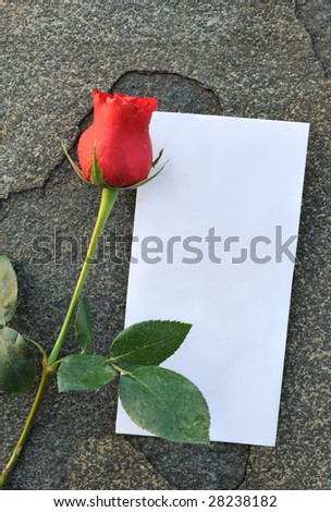 Rose flowers and blank pieces of paper