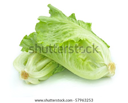 Fresh crispy lettuce heart on white background