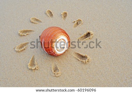 Sand beach conch sun\'s mark