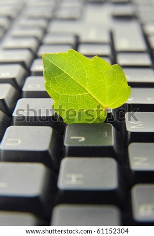 Computer Keyboard and Green leaf, concept of Environmental Conservation