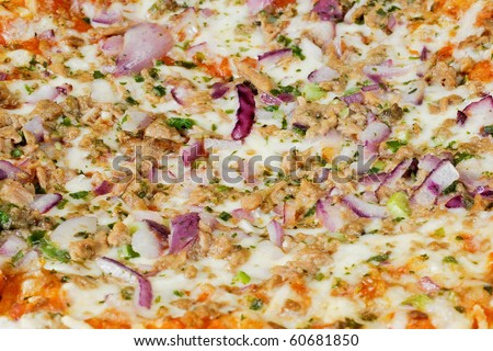 a pizza surfaced with tunny and red onion