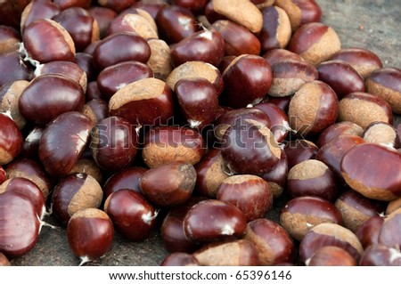 Sweet chestnut \