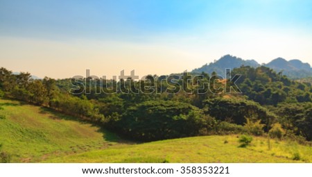blur forest mountain tree with sun light blue sky