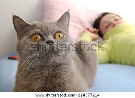 Scottish strike cat and sleeping woman