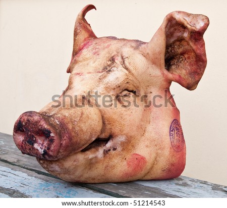 A Pig Head
