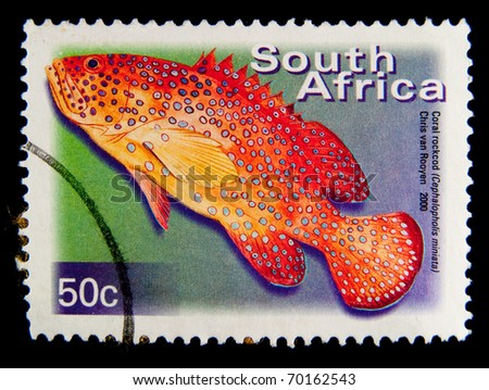 SOUTH AFRICA - CIRCA 2000: A stamp printed in South Africa shows image of a coral rockcod (Cephalopholis miniata), series, circa 2000