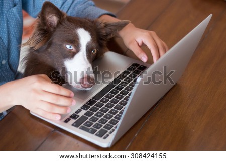 A woman working on her computer at on a wooden table with her dog looking at the screen of her laptop really interested