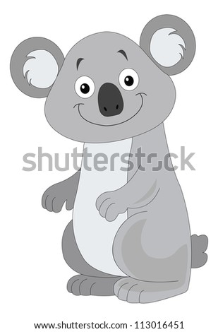 Grey Koala