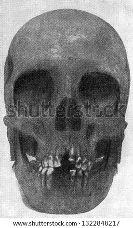 Skull of an Australian woman with eye orbits similar to those of the orang, vintage photo. From the Universe and Humanity, 1910.