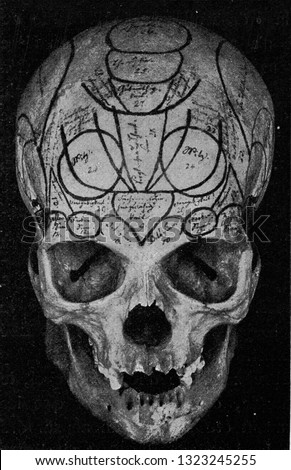 Skull of Gall, seen from the front, vintage photo. From the Universe and Humanity, 1910.