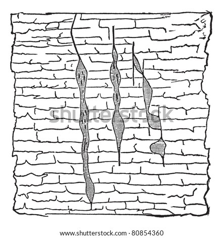 Ore Vein