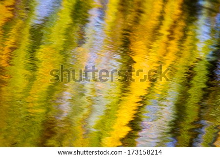 Reflections of a willow tree in october