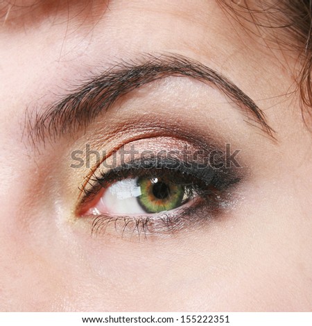 Closeup of an eye and eyebrow with makeup