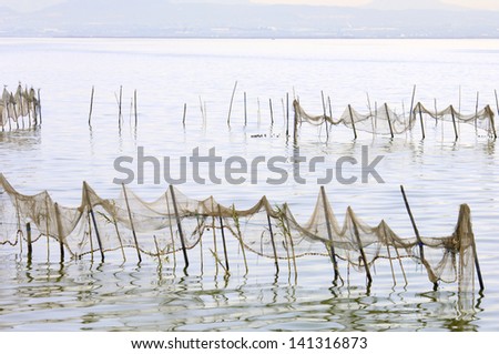 view of some fishing nets on standing water in La Albufera, Valencia, Spain