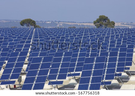 group of photovoltaic panels for renewable electric energy production group of photovoltaic panels for renewable electric energy production