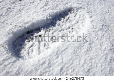 Footprint of a mountain boot in the snow.