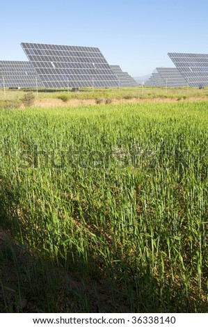 Solar field and meadow with blue sky