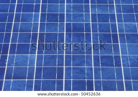 foreground of a photovoltaic panel for renewable energy production