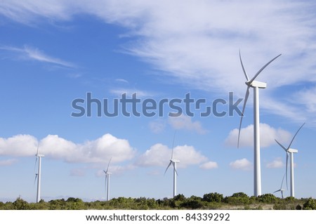 group of  windmills for renewable electric  energy production