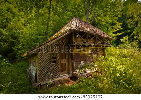 Country House abandoned in woods