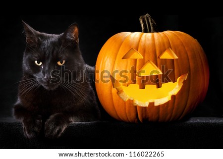 Halloween pumpkin and black cat scary spooky and creepy horror holiday superstition evil animal and jack lantern