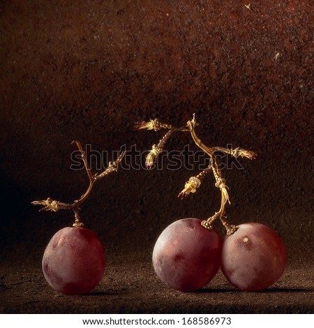 Wine grapes light painting. Abstract fruit still life concept for wine tasting or harvest vineyard