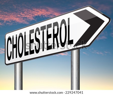 high cholesterol level lower saturated fats to avoid cardiovascular disease