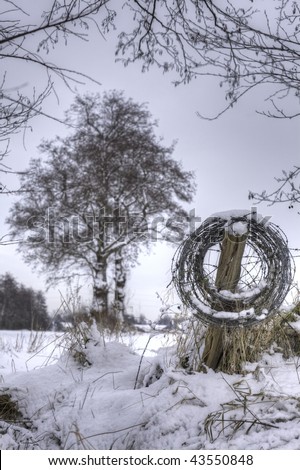 roll of barb wire covered with snow with a tree in the background