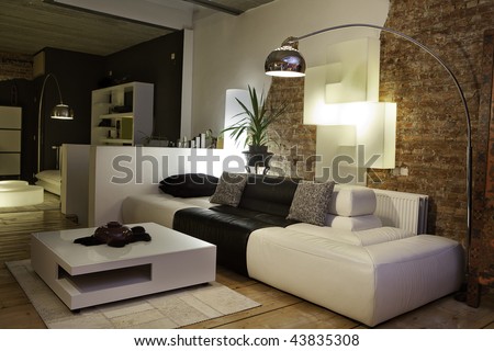 modern living room with design furniture