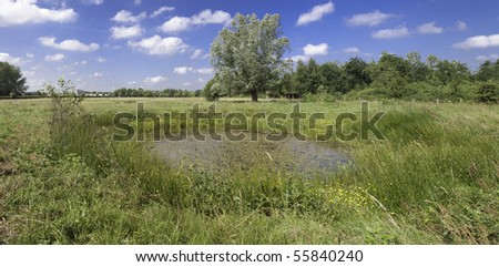 pond in grassland blue sky white clouds sunny day landscape nature reserve nature conservation wildlife protection of freshwater ponds in prairie with tall grass