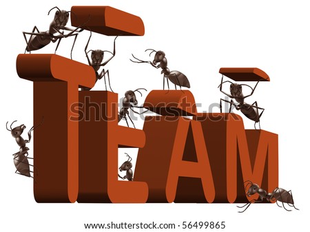 Ants Team