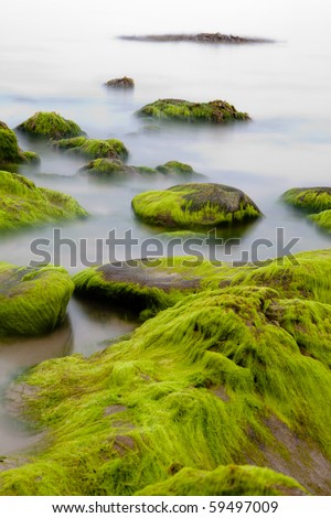 Big boulders at Irish coast covered with green seaweed long exposure makes seawater look like mystery fog