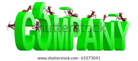 ants building company  brand com