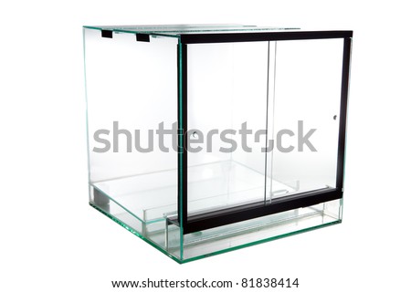 Jack-of-all trades enclosure size for T's Stock-photo-terrarium-a-glass-vivarium-for-keeping-exotic-and-tropical-pet-animals-such-as-lizards-snakes-and-81838414