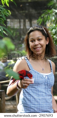 Red Eclectus Parrot