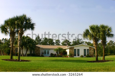 American Dream Home with palm trees, blue doors, and space for text