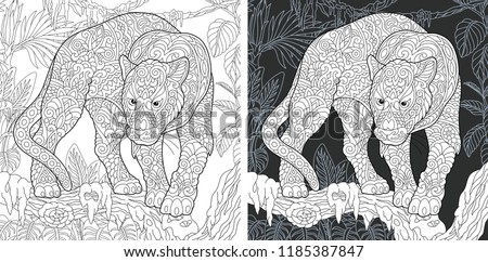 Animal. Coloring Page. Coloring Book. Colouring picture with panther drawn in zentangle style. Antistress freehand sketch drawing. Vector illustration.