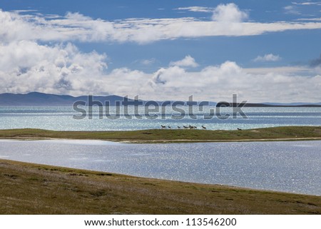 Qinghai Tibet Plateau nature with many lakes