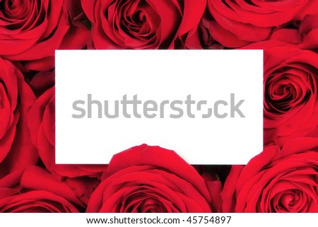 Rose frame with isolated white center