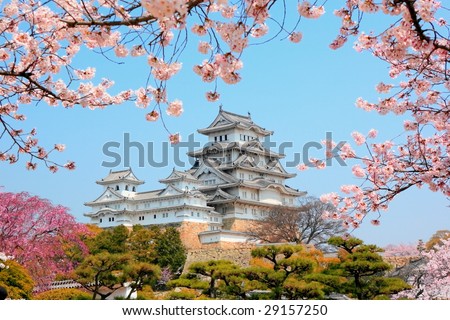 himeji castle surrounded by cherry blossom himeji castle surrounded by cherry blossom