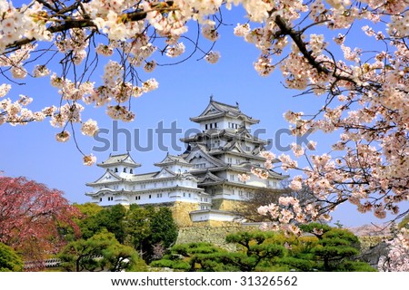 Himeji-jo castle in spring cherry blossoms