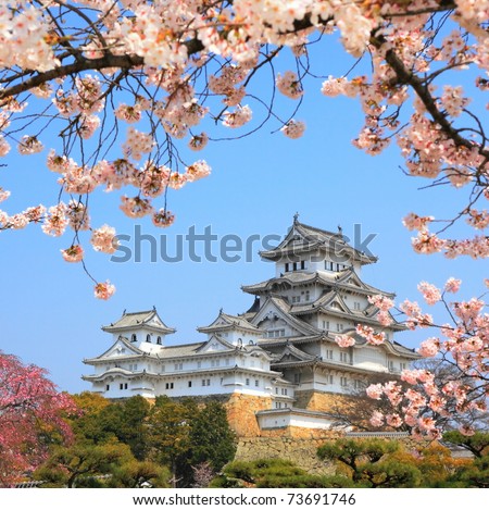 Spring cherry blossoms and the main tower of the UNESCO world heritage site: Himeji Castle, also called the white heron castle, Japan.