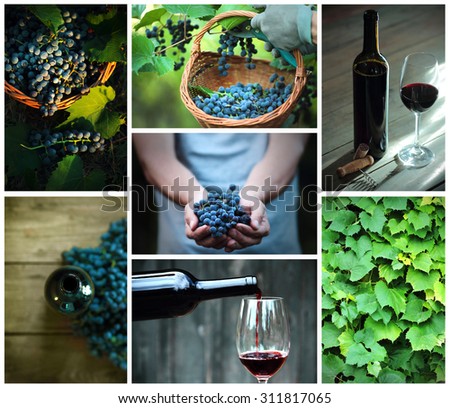 Collage of images showing the cultivation, harvesting and finished product - the red wine.