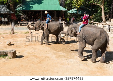 CHIANGMAI THAILAND 03 DEC 15 elephant playing and kicking football at The Maesa elephant camp on 03 December, 2015 in Chiangmai, THAILAND