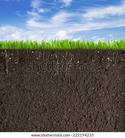 Soil or dirt section with grass under sky