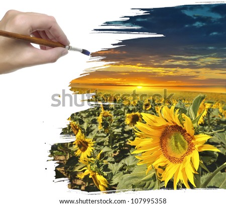 hand painting sunflower and sunset sky